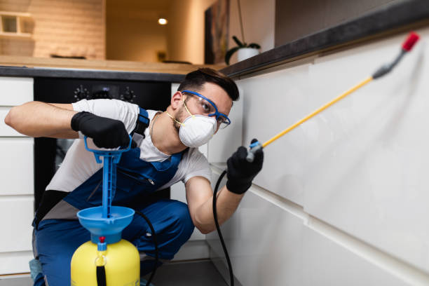 Best Pest Control Near Me in Willow Grove, PA