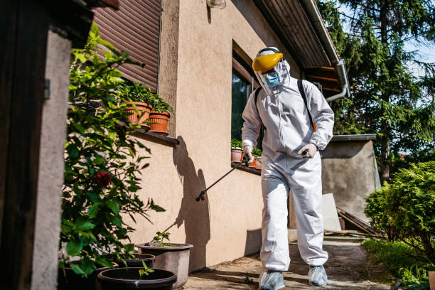 Flea Control Services in Willow Grove, PA