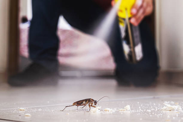 Best Commercial Pest Control Services  in Willow Grove, PA
